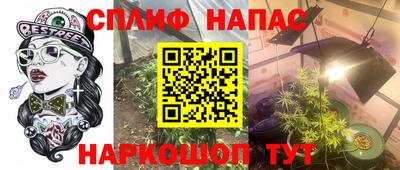 наркотики Сланцы