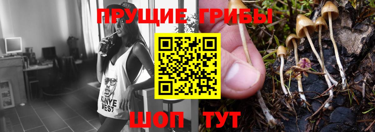 Галлюциногенные грибы Psilocybe  Вход с VPN  сколько стоит  Нововоронеж 